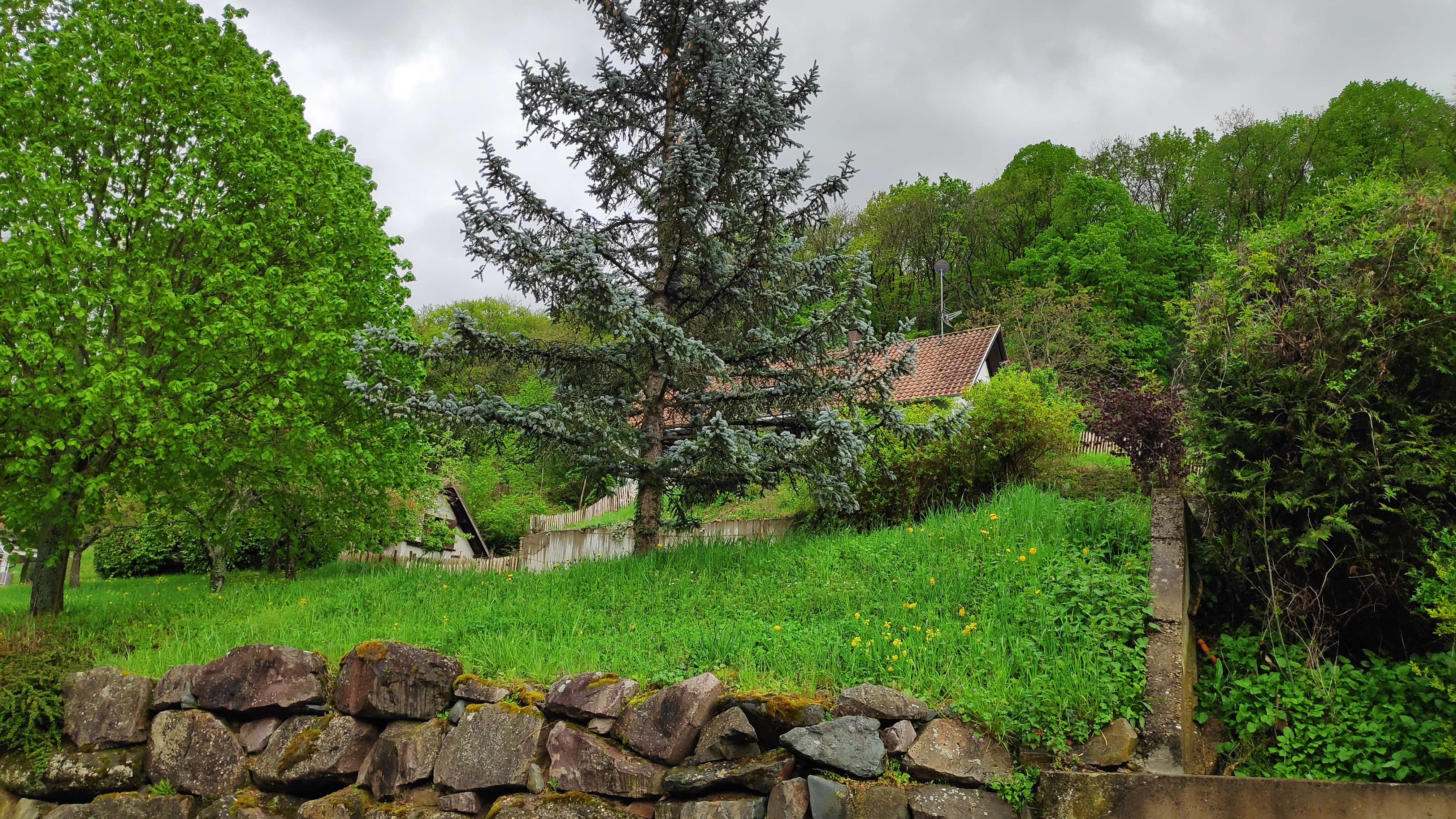 Villa Alsace – Grundstück